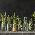 ai-generated-8775370_640