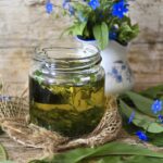 bears-garlic-5056253_640