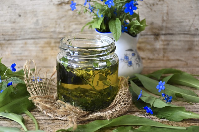 bears-garlic-5056253_640